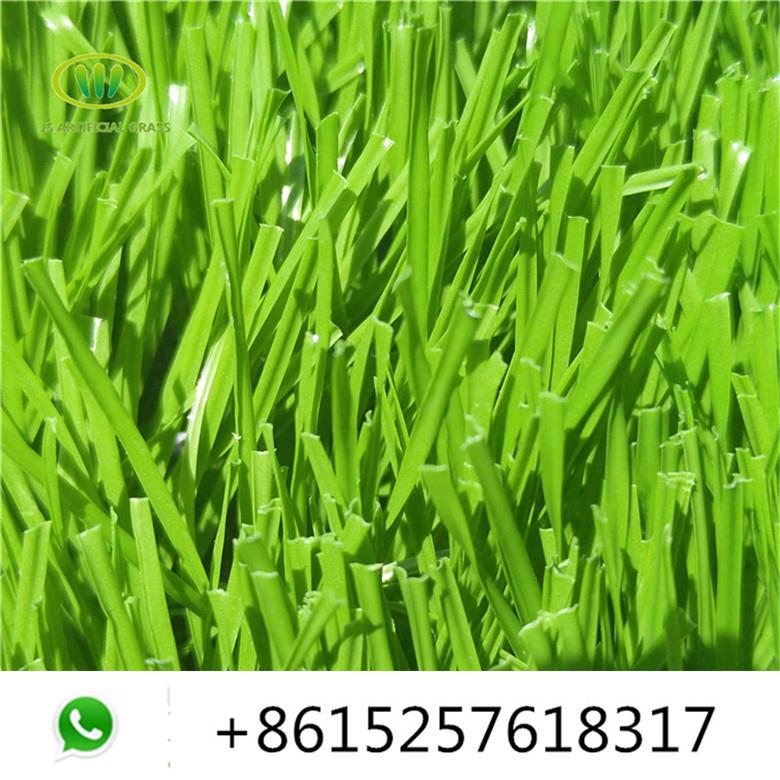 turf football field11.jpg