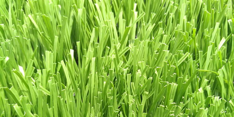 Artificial turf for soccer 1.jpg