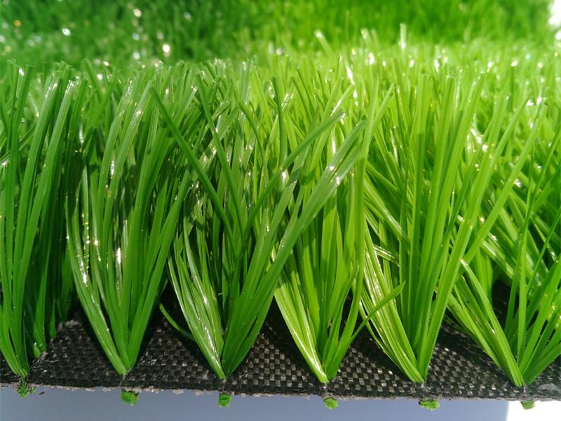 Carpet Grass artifiċjali