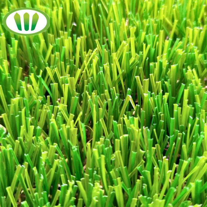 ħaxix falz roll01.jpg