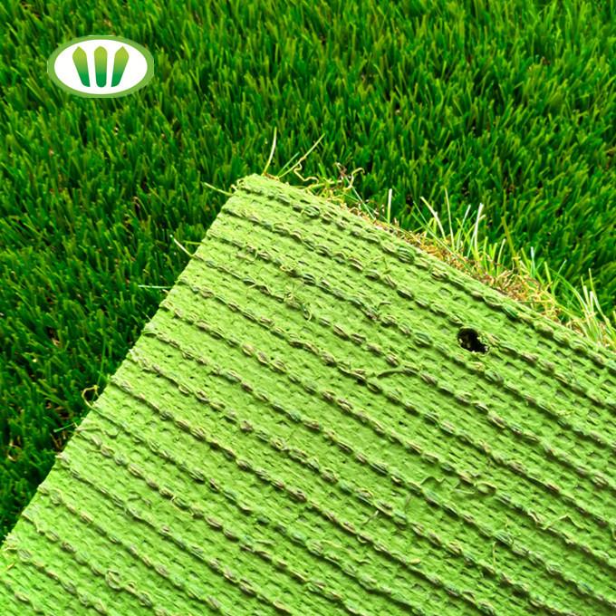 ħaxix falz roll02.jpg