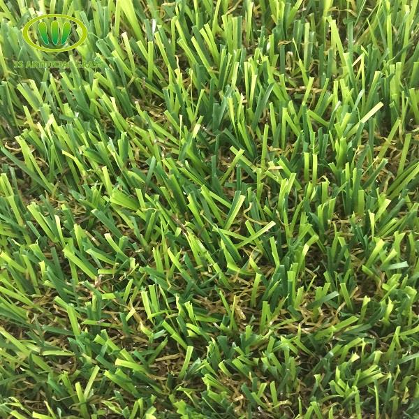 ħaxix falz għal patio1