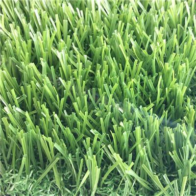 Artificial Lawn