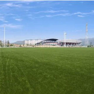 Oqsma tal-Futbol Naturali tal-Grass