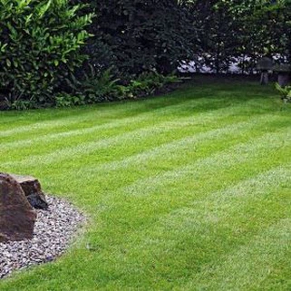 Grass Turf artifiċjali għal djar