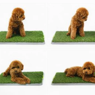 UV Reżistenti Inwera Mhux Nadif Tajba Ilma Permeabilità Artifiċjali Best Grass Foloz Għall Dogs Pets