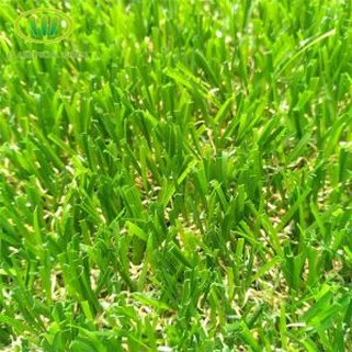 Turf Foloz Għat-Tarzni