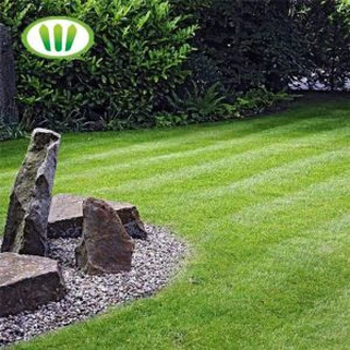 Ħarsa Naturali Grass Frisk Kummerċjali Għall Dekorazzjoni Garden