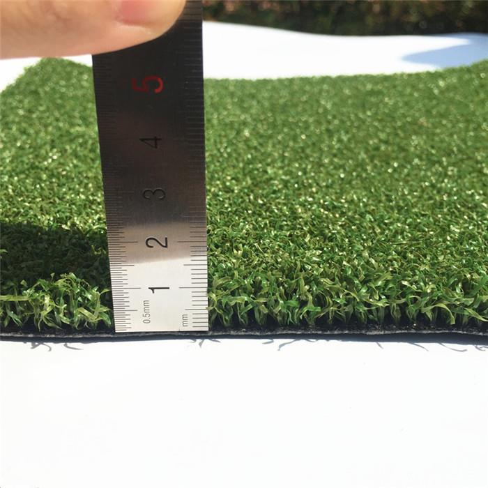 Sports Turf