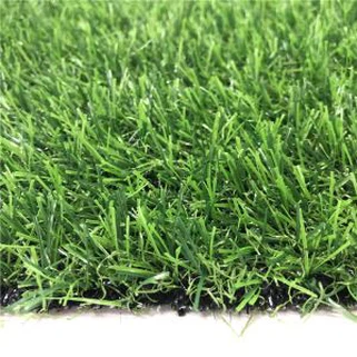 Rombli tal-Ħaxix Sintetiċi