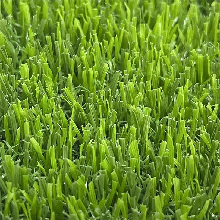 Outdoor Turf Grass