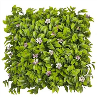 Ħaxix tal-Ħajt Foloz Isfar-aħdar