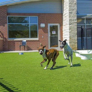 Bejjiegħa bl-ingrossa u Distributuri Amerikani tat-Turf Artifiċjali