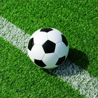 Ħaxix tal-field tal-futbol